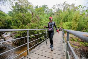 BIB: 
                            <button type="button" onclick="openModal(178371)" class="btn btn-primary btn-sm float-right btn-popup" data-toggle="modal" data-target=".modal-high-quality">
                        <i class="fas fa-shopping-cart"></i> Add to Cart
                    </button>
                                            <button type="button" onclick="isThisMe(178371, true)" class="btn btn-success btn-sm float-right btn-popup btn-isme hidden" data-toggle="tooltip" data-placement="bottom" title="นี่คือรูปของคุณใช่ไหม คลิกที่นี่เพื่อเอาเข้าอัลบั้ม">
                        <i class="fas fa-plus"></i> Add to album
                    </button>
                    <button type="button" onclick="isThisMe(178371, false)" class="btn btn-warning btn-sm float-right btn-popup btn-isnotme hidden">
                        <i class="fas fa-ban"></i> Remove from album
                    </button>